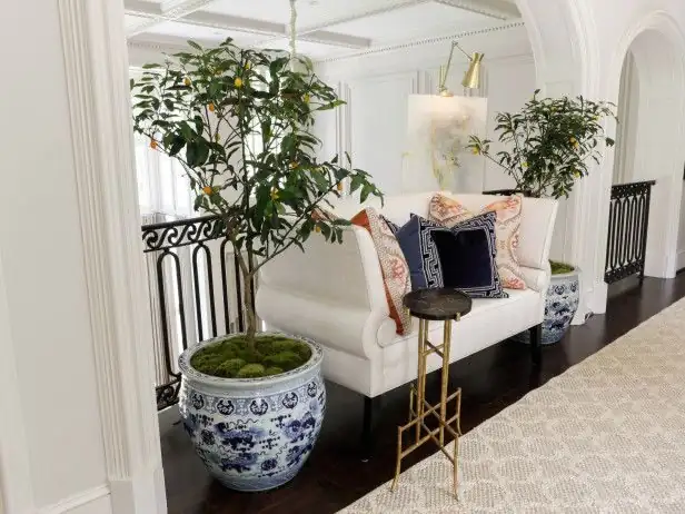 kumquat living room bright corner
