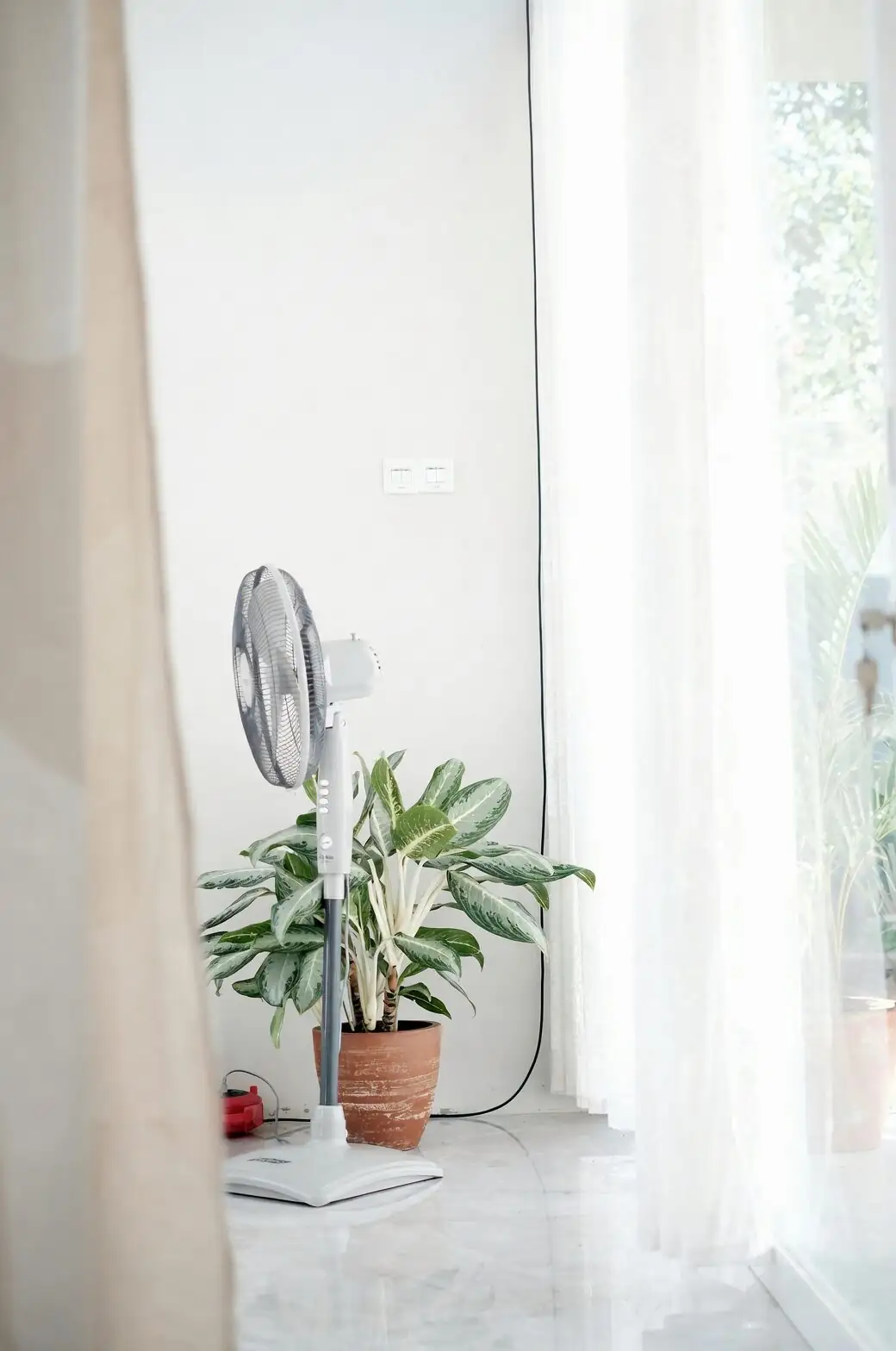 golden barrel cactus window fan