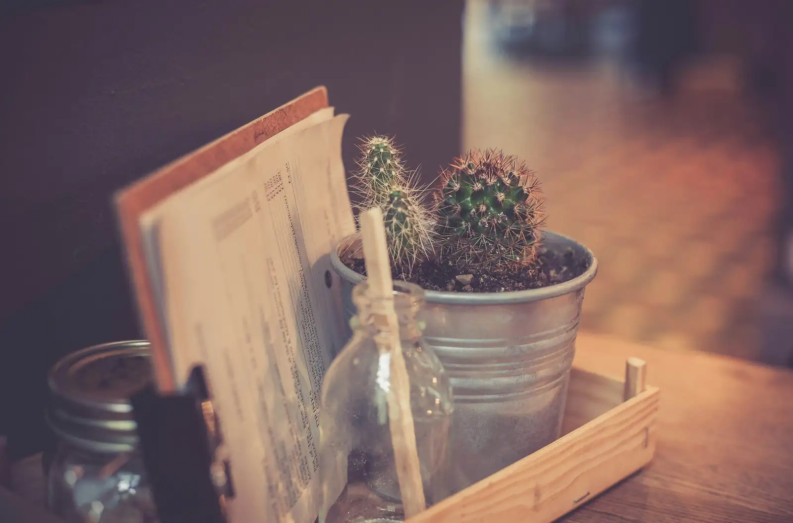 golden barrel cactus office desk