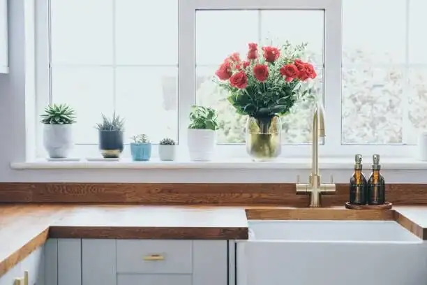 vicks plant summer bright window