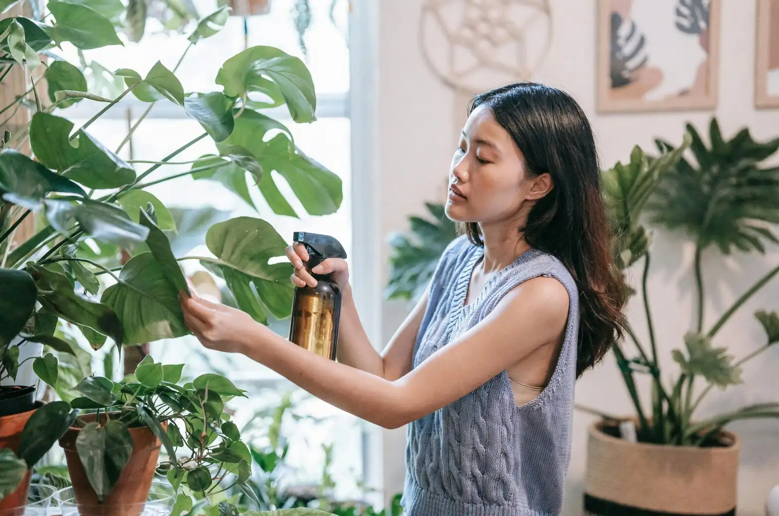 vicks plant pinching tips