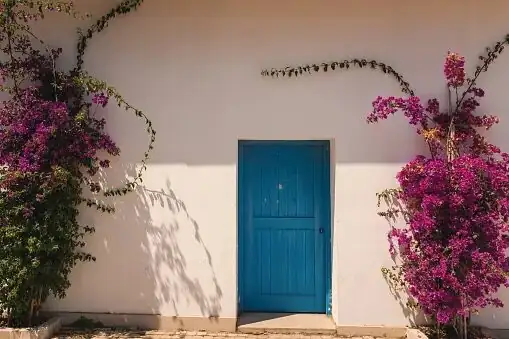 bougainvillea arch doorway garden