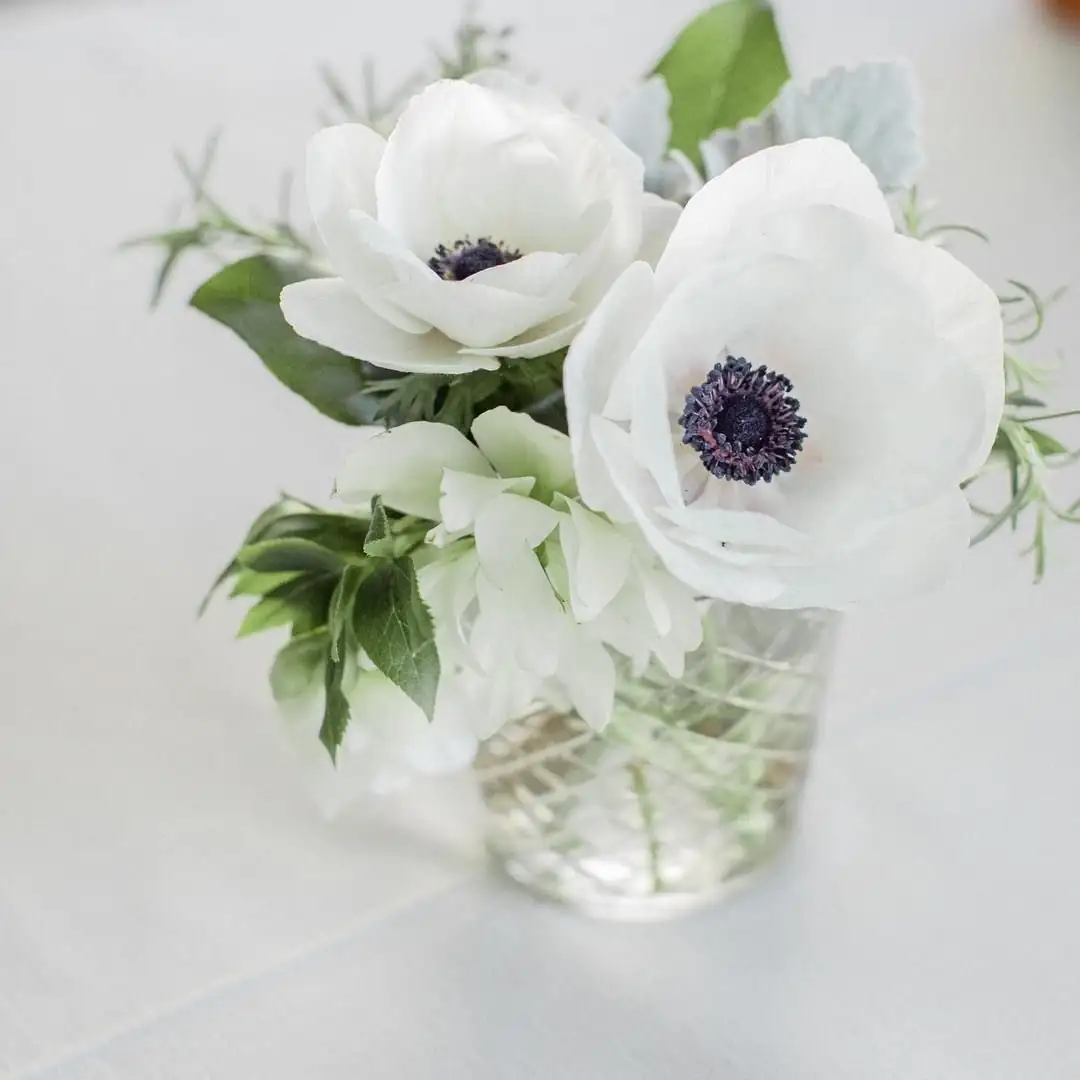 anemone vase east window light
