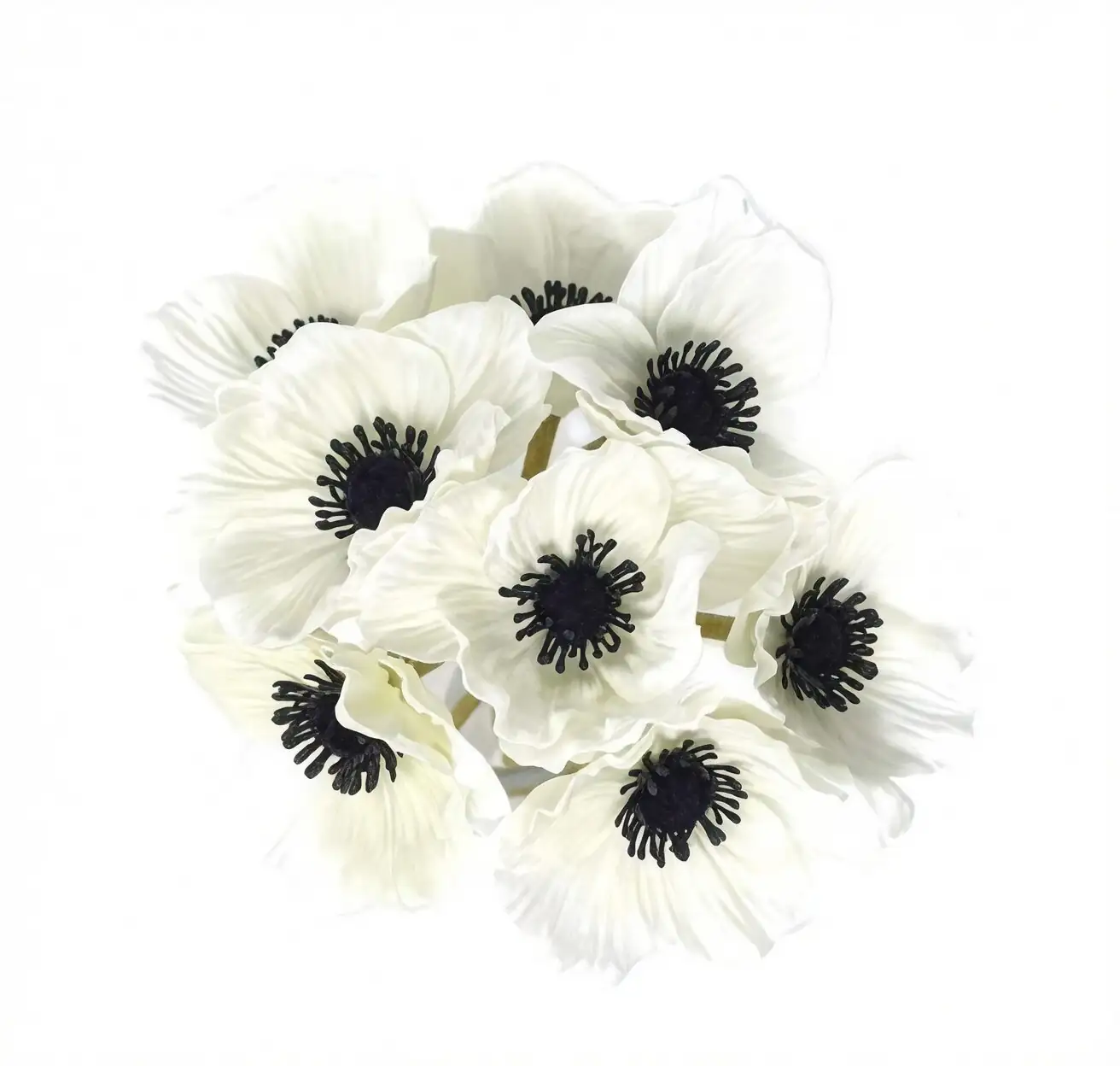 poppy anemone bouquet vase