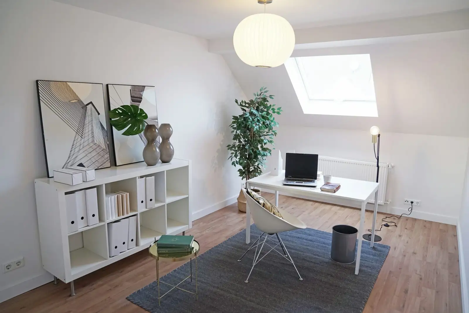 Exacum affine on bookshelf living room