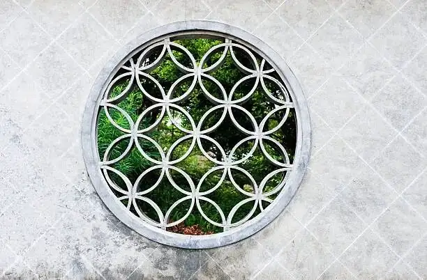 当夏天把花烤糊了：月季花苞焦边与半休眠的急救与复花